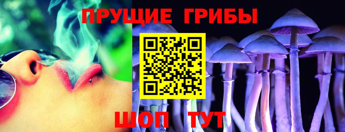 Шатура  Псилоцибиновые грибы мицелий  Вход с VPN  Галлюциногенные грибы мицелий 